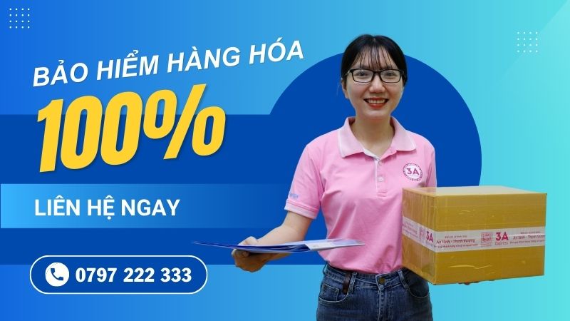 Bảo hiểm 100%